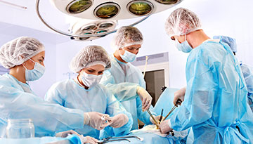 Laboratory Services photo